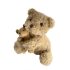 Ursul Raoul, jucarie plus, Egmont Toys