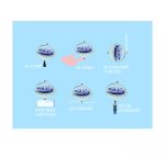 Giroscop UFO, Navir - imaginea 4 Giroscop UFO, Navir - imaginea 4