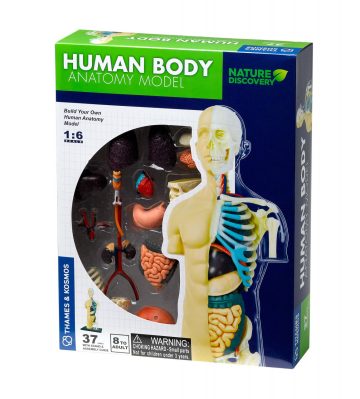 Kit STEM Anatomia corpului uman, Thames & Kosmos - imaginea 1