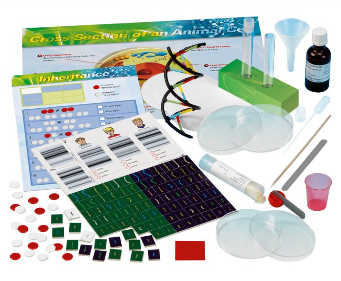 Kit STEM Laboratorul de genetica, Thames & Kosmos - imaginea 4