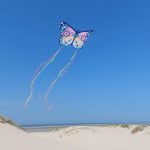 Zmeu Cel mai mare fluture, Djeco - imagine 4